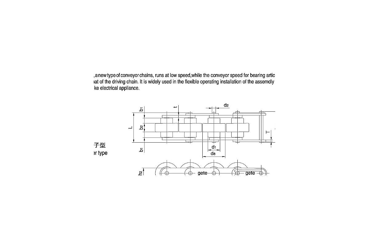 BS25-C206BR Double Plus Chain Steel Rollers dimension drawing