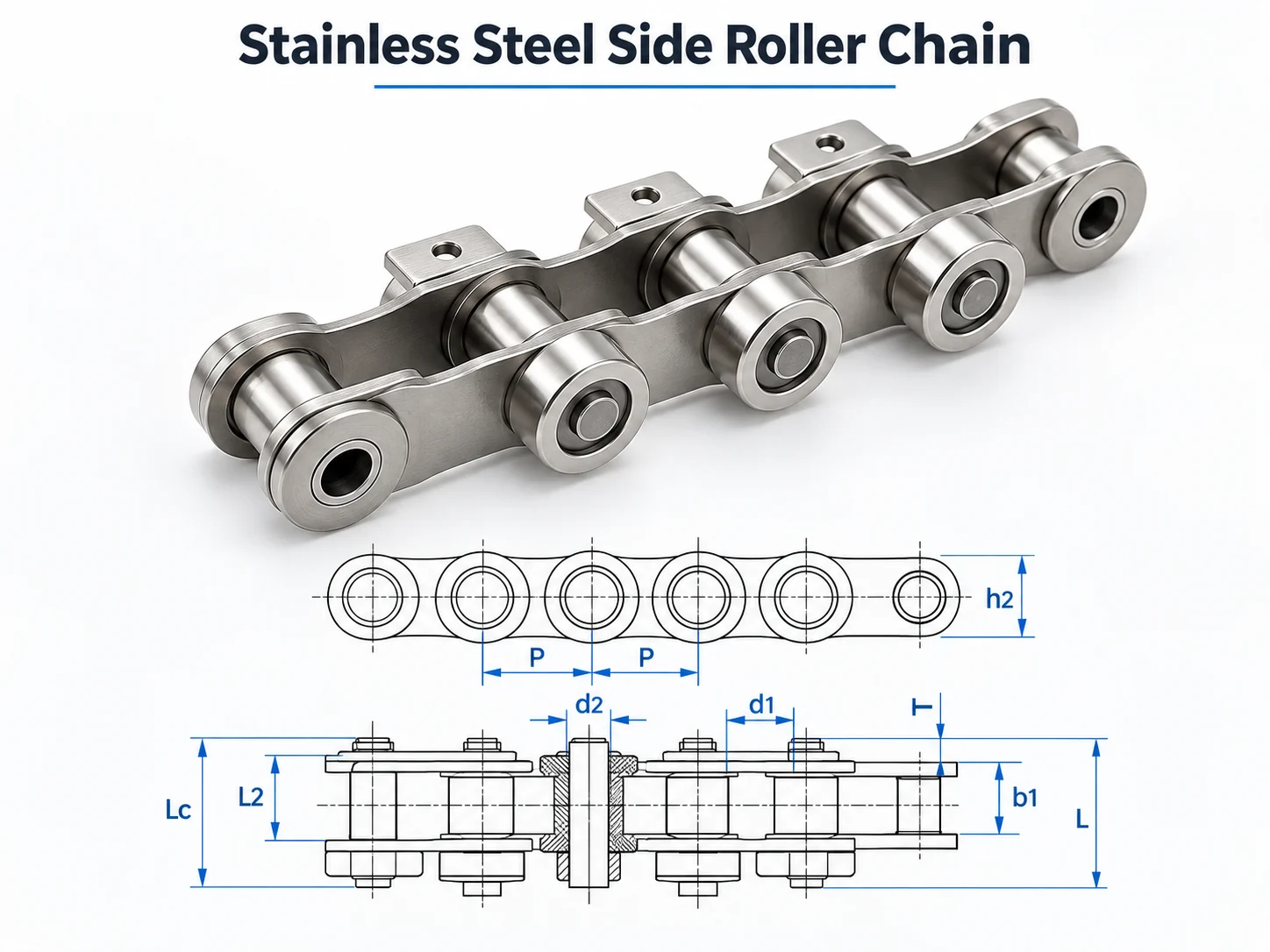 Stainless Steel Side Roller Chains structure and interface drawing